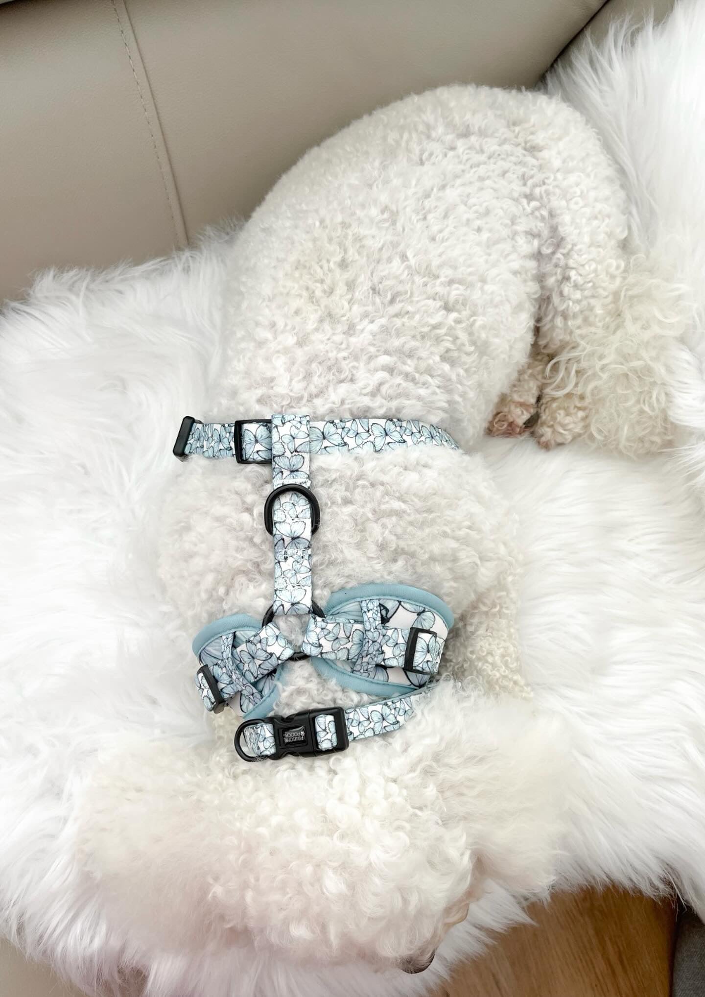 Pupperfly full bundle set