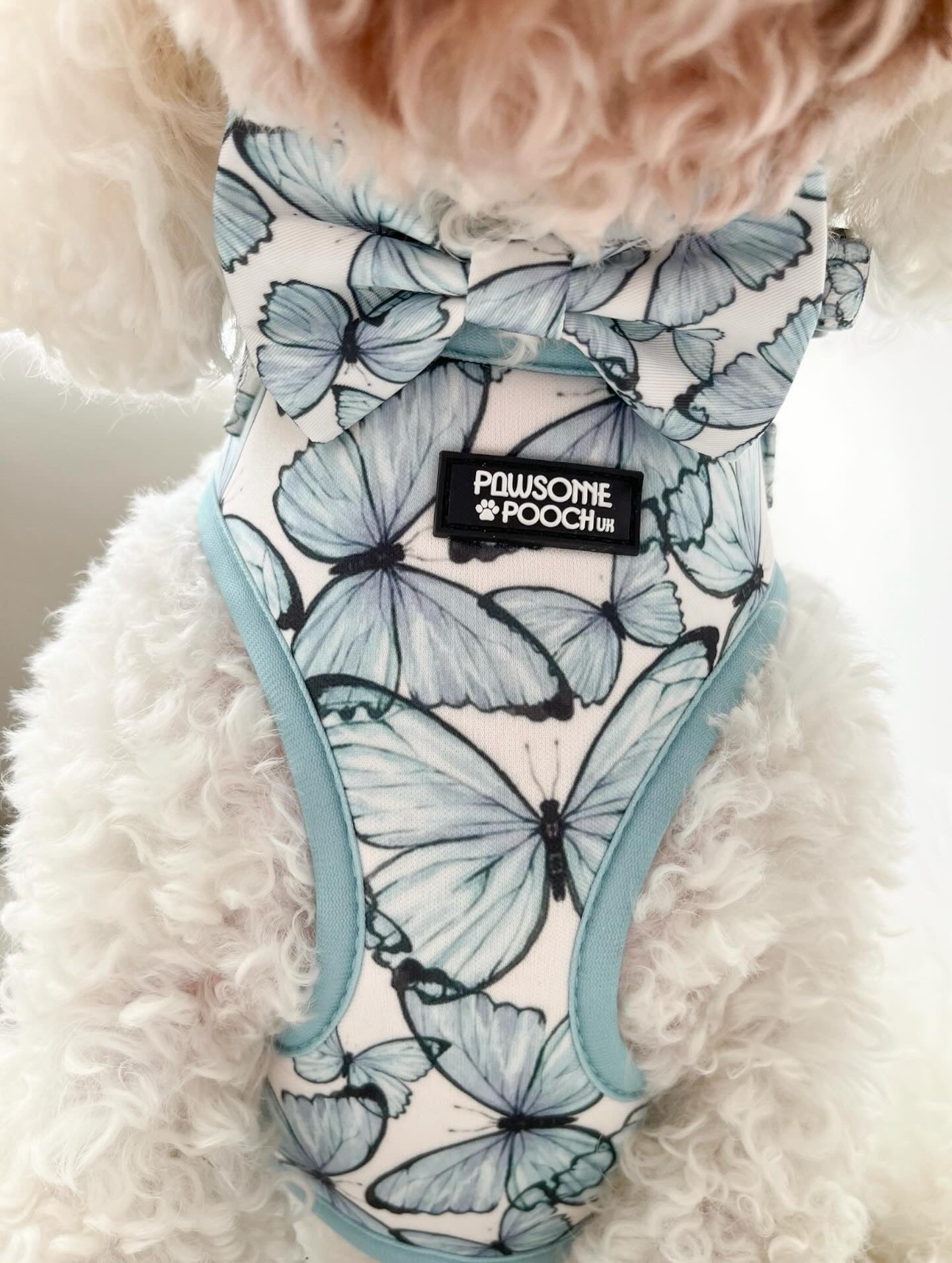 Pupperfly full bundle set