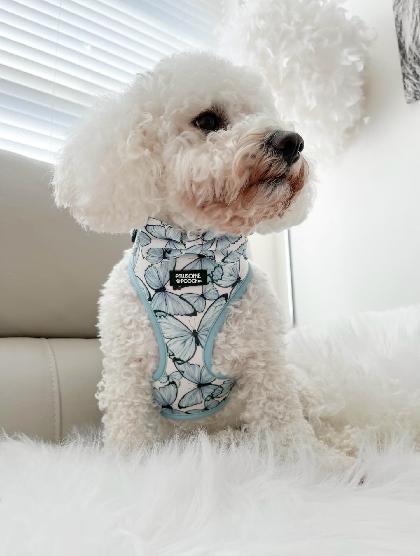 Pupperfly full bundle set