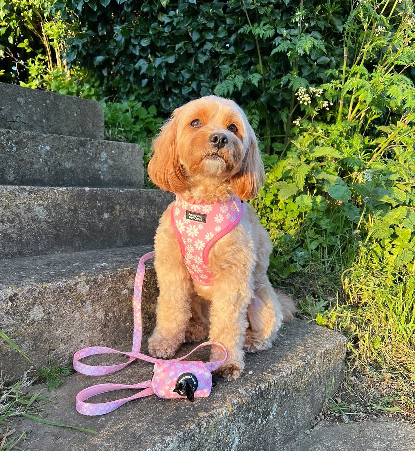 Oopsy daisy poo bag holder