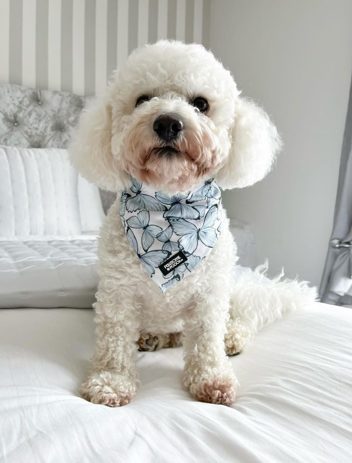 Pupperfly bandana