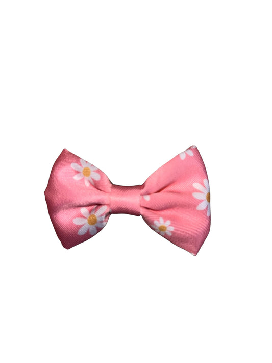 Oopsy daisy bow-tie